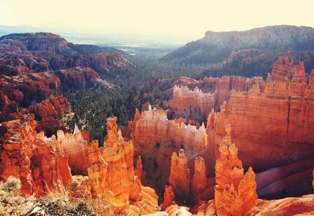 Pittoresche rocce rosa colorate del parco nazionale di Bryce Canyon nello Utah, Stati Uniti d'America