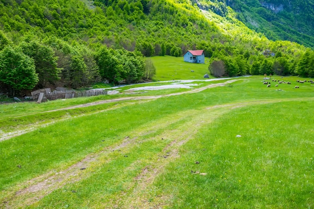 Pittoreschi prati verdi vicino alle grandi alte montagne