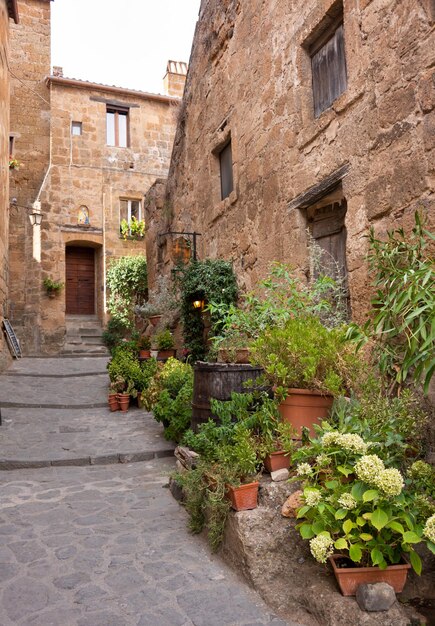 Pittoresco edificio in città medievale in Toscana Italia Vecchi muri in pietra e piante