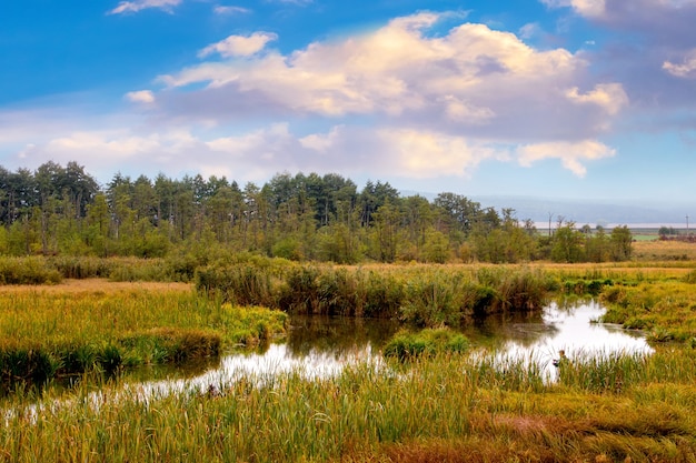 Pittoresco paesaggio autunnale con fiume, foresta in lontananza e cielo con nuvole colorate