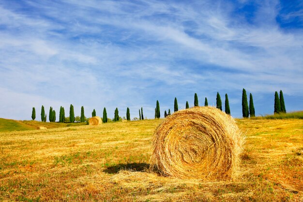 Pittorici paesaggi rurali della Toscana