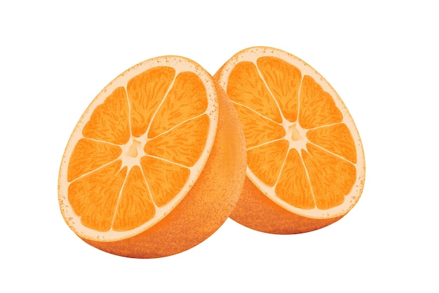 Pittura a colori dell'illustrazione arancione
