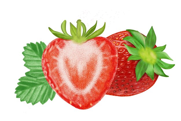 Pittura a colori dell'illustrazione della frutta fresca della fragola