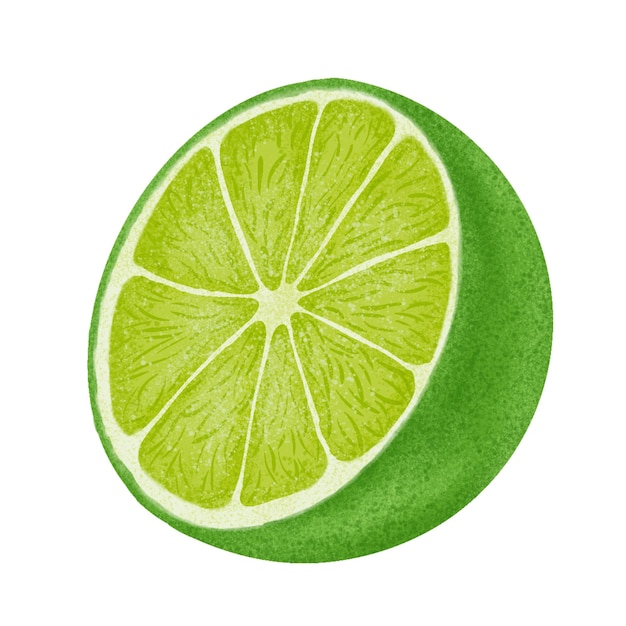 Pittura a colori dell'illustrazione verde limone