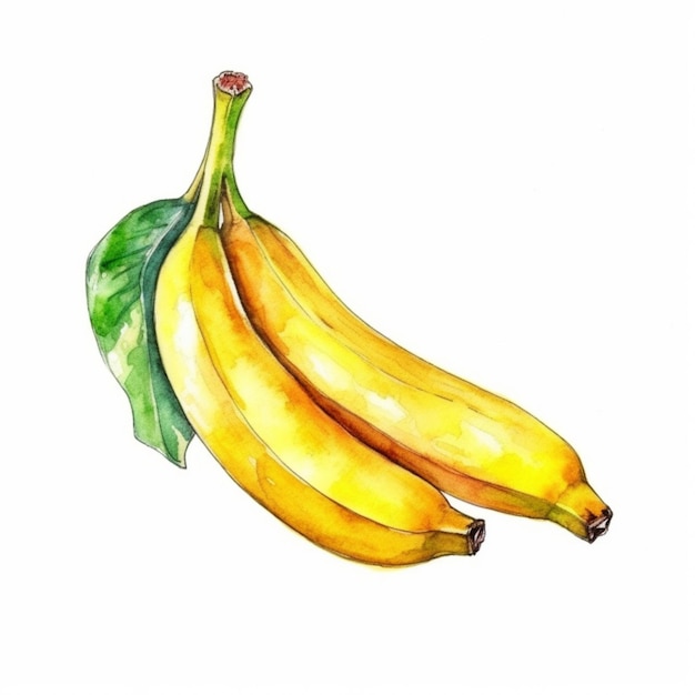 Pittura ad acquerello banana, acquerello disegnato a mano, banana, acquerello, banana, acquerello, banana, acquerello, acquerello, nessun popolo, acquerello, pittura, pittura