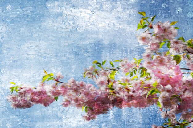 Pittura astratta di disegno del fiore di sakura rosa dell'acquerello, illustrazione dell'acquerello di sakura