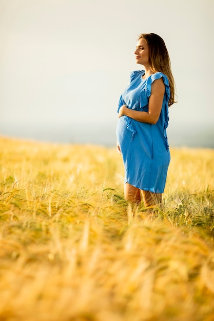 Piuttosto giovane donna incinta in abito blu rilassante fuori nella natura al giorno d'estate