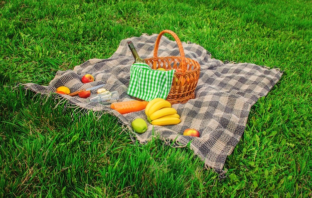 Plaid per un picnic sull&#39;erba. Messa a fuoco selettiva