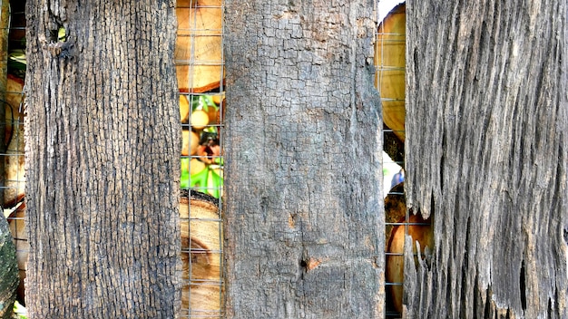 Plance di albero con corteccia decorata sul muro