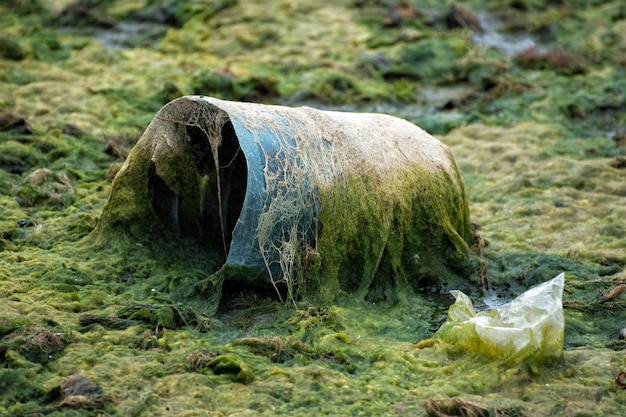 Plastica nell'acqua Disastro ecologico Protezione ambientale e concetto di inquinamento da plastica