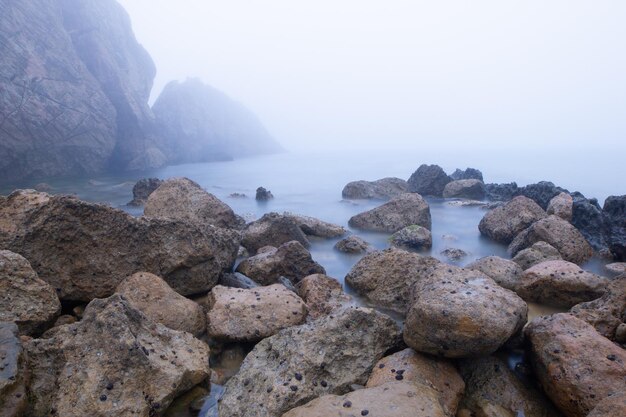 Playa llena de rocas e niebla en pleno invierno