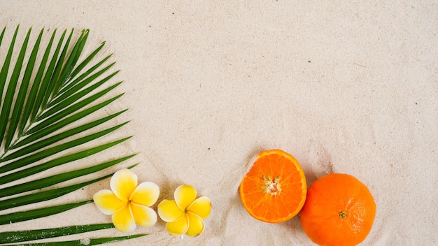 Plumeria E Arancio Su Sfondo Foglia Di Palma