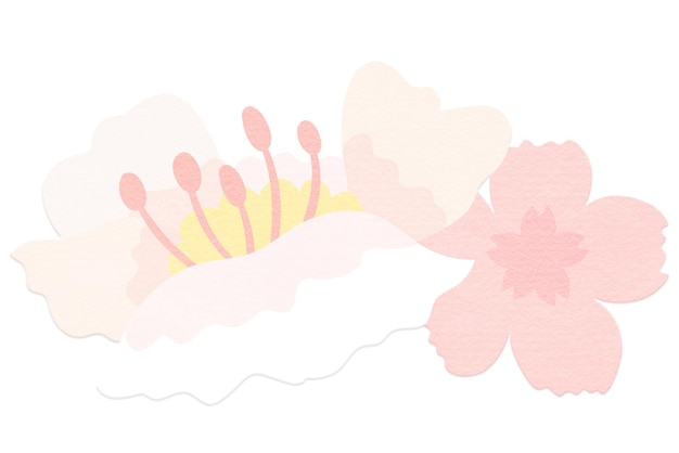 Png fiori di ciliegio fiori primaverili