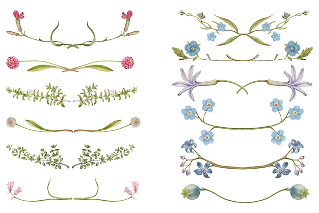 Png flower flourish divider element set remix da The Model Book of Calligraphy di Joris Hoefnagel e Georg Bocskay