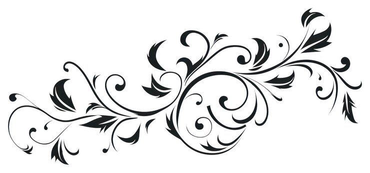 Foto png modello grafico bianco sfondo bianco