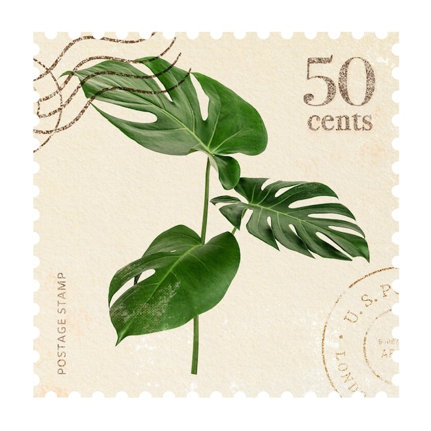 Png monstera adesivo di francobollo vintage con sfondo botanico trasparente