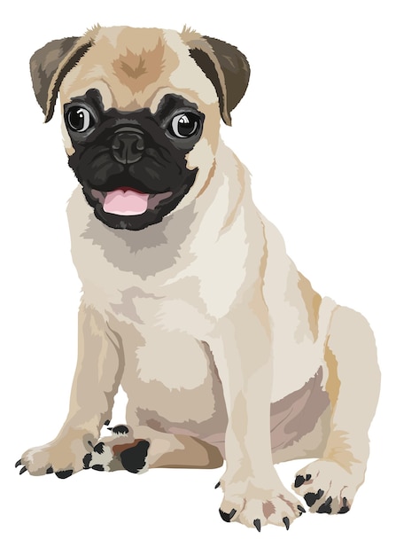 PNG pug cucciolo illustrazione adesivo animale carino sfondo trasparente