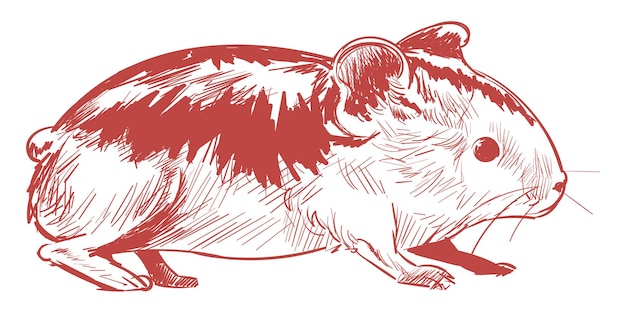Png red mouse sketch illustration sfondo trasparente
