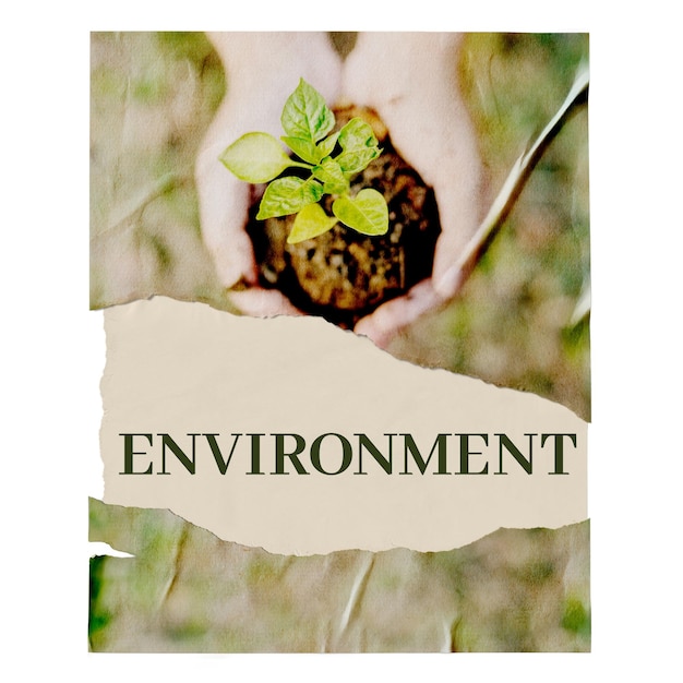 Png ripped poster ambientale celebrazione della Giornata della Terra immagine su sfondo trasparente
