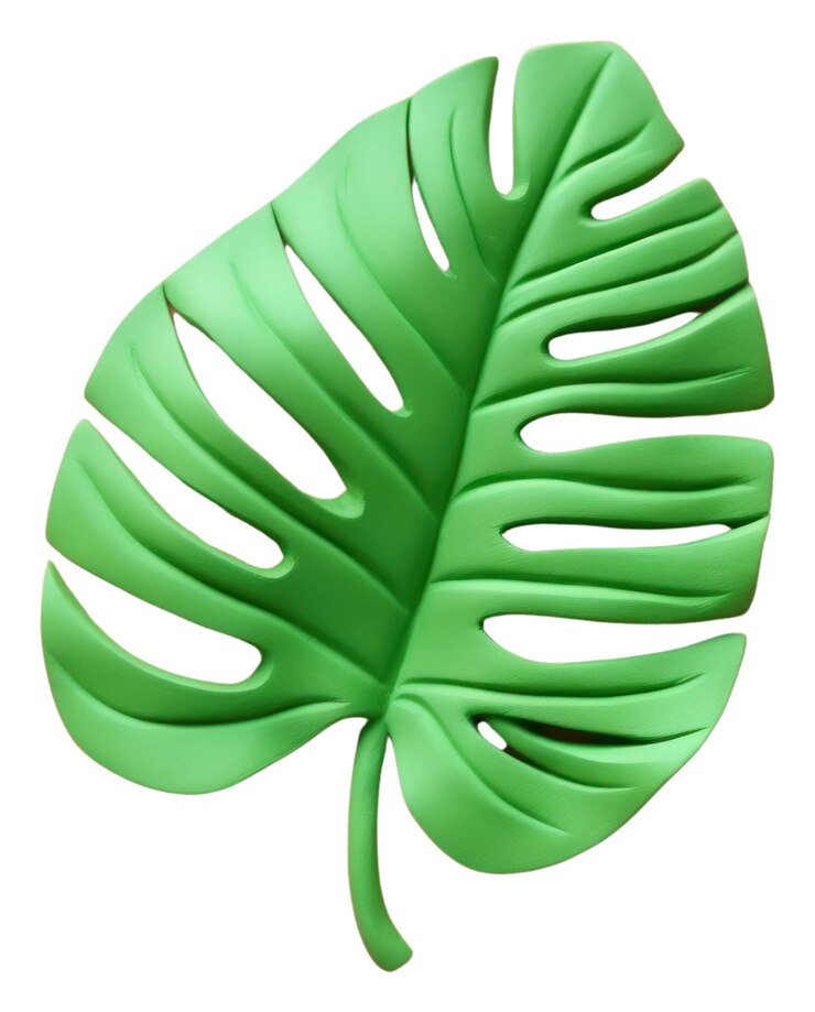 Photo png tropical leaf plant accessories accessory