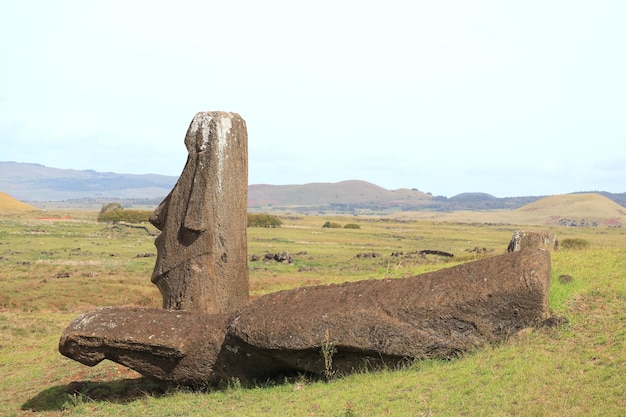 Poche di numerose enormi statue Moai incompiute ai piedi del vulcano Rano Raraku, Isola di Pasqua del Cile, Sud America