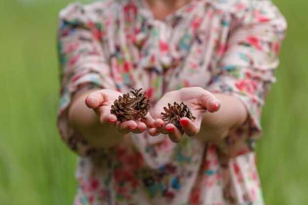 Poche pigne in mani della donna, primo piano