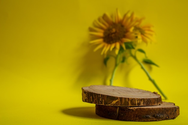 Podio prodotto in legno o vetrina con girasoli. Sfondo di presentazione per profumi e cosmetici