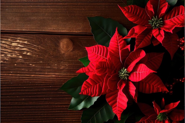 Poinsettia tradizionale fiore natalizio e vacanza esso