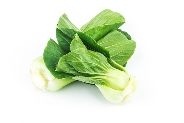 Pok Choi su bianco