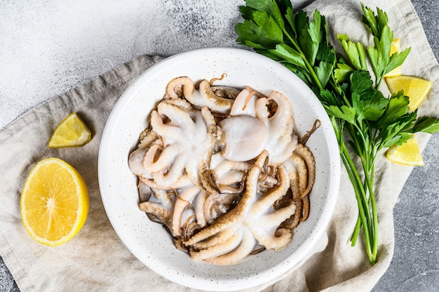 Polipo crudo del bambino con prezzemolo e limone in una ciotola bianca. Frutti di mare biologici Sfondo grigio. Vista dall'alto