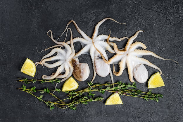 Polipo di bambino crudo su sfondo nero. Frutti di mare biologici Vista dall'alto