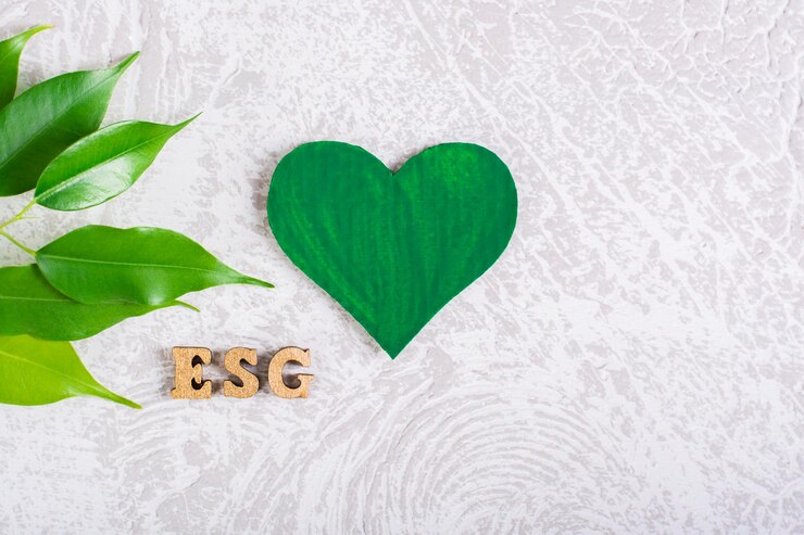 Foto politica di gestione sociale ambientale esg lettere e foglie di cuore verde su sfondo grigio