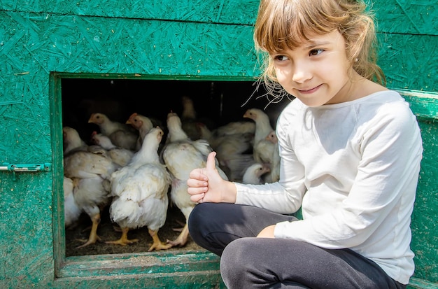 Polli bio in una fattoria casalinga e bambini