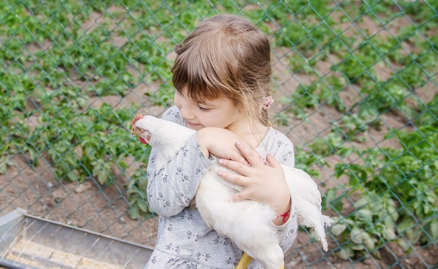 Polli bio in una fattoria di casa un bambino.