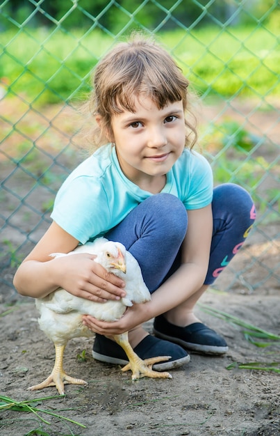 Polli bio in una fattoria di casa un bambino.