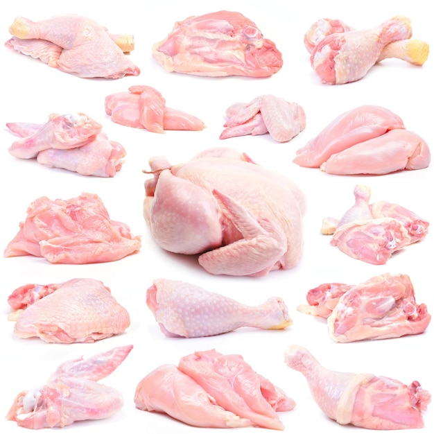 Pollo a base di carne su sfondo bianco