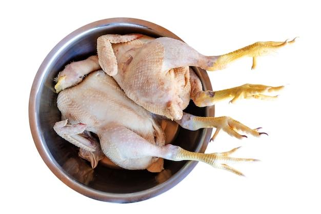 Pollo crudo in una ciotola di metallo per pulire e preparare cibo, carne