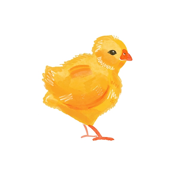 Pollo giallo carino. Buona Pasqua.