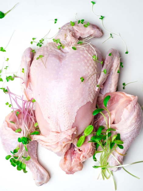Pollo intero crudo biologico su sfondo bianco con erbe microgreens