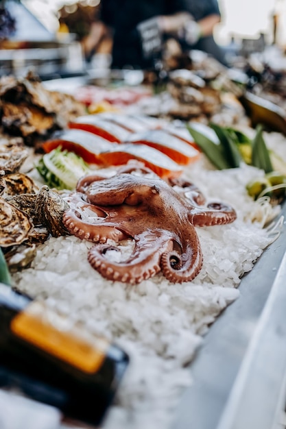 Polpo fresco e pezzo di salmone giacciono su ghiaccio nella pescheria Octopus in vendita