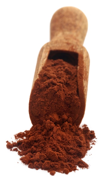 Polvere di cacao con paletta su sfondo bianco