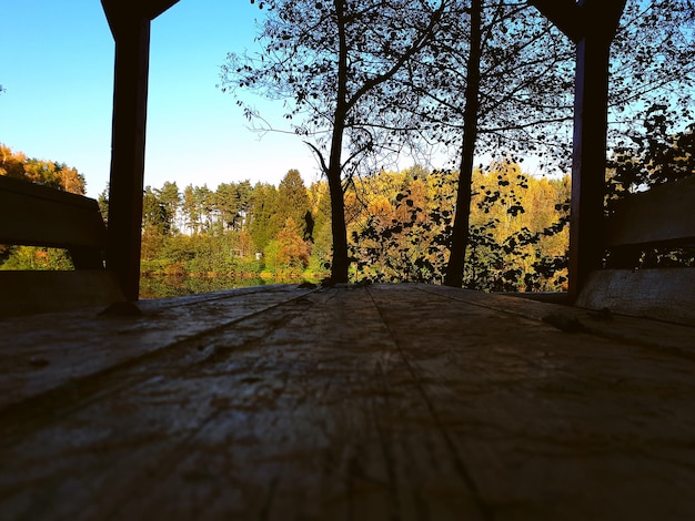 Pomeriggio autunnale vista del paesaggio da un tavolo da un rifugio in legno vicino al lago