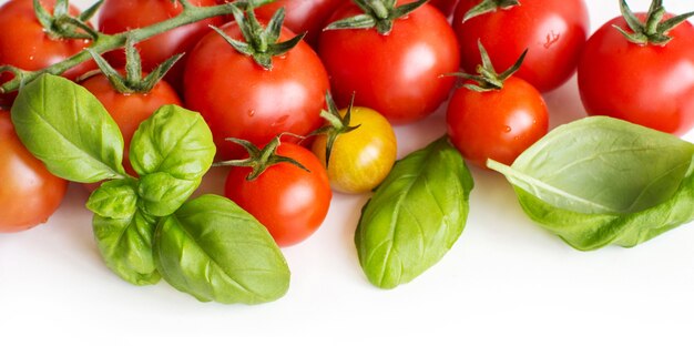 Pomodori ciliegia e basilico isolati su bianco