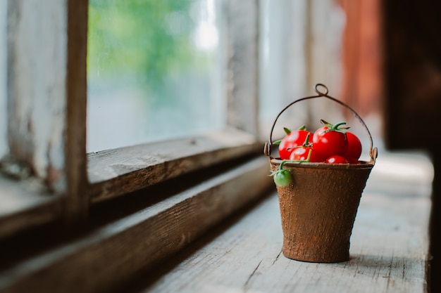 Pomodori ciliegia in un vecchio secchio arrugginito decorativo su un rustico scuro.