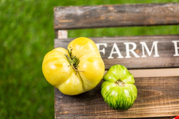 Pomodori cimelio appena raccolti dalla fattoria del cortile.