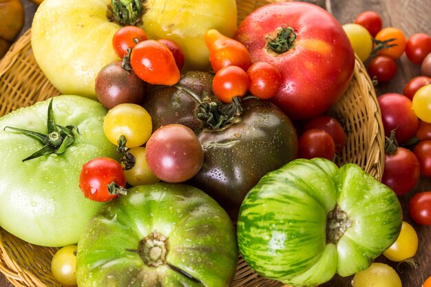 Pomodori cimelio biologici dalla fattoria del cortile.