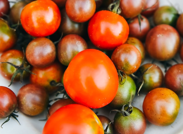 Pomodori coltivati in casa sul piatto. Verdure ecologiche dall'orto personale.