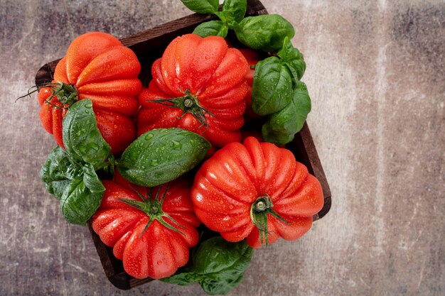 Pomodori con foglia di basilico, gocce d'acqua da vicino.