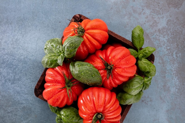 Pomodori con gocce d'acqua di foglie di basilico da vicino