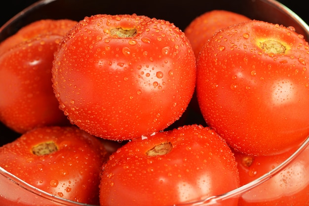 Pomodori con gocce d&#39;acqua su sfondo nero